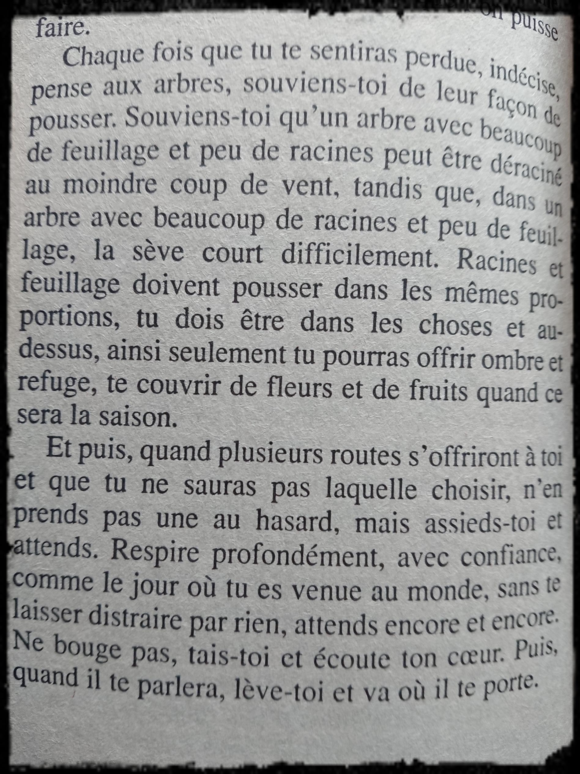 va ou ton coeur te porte